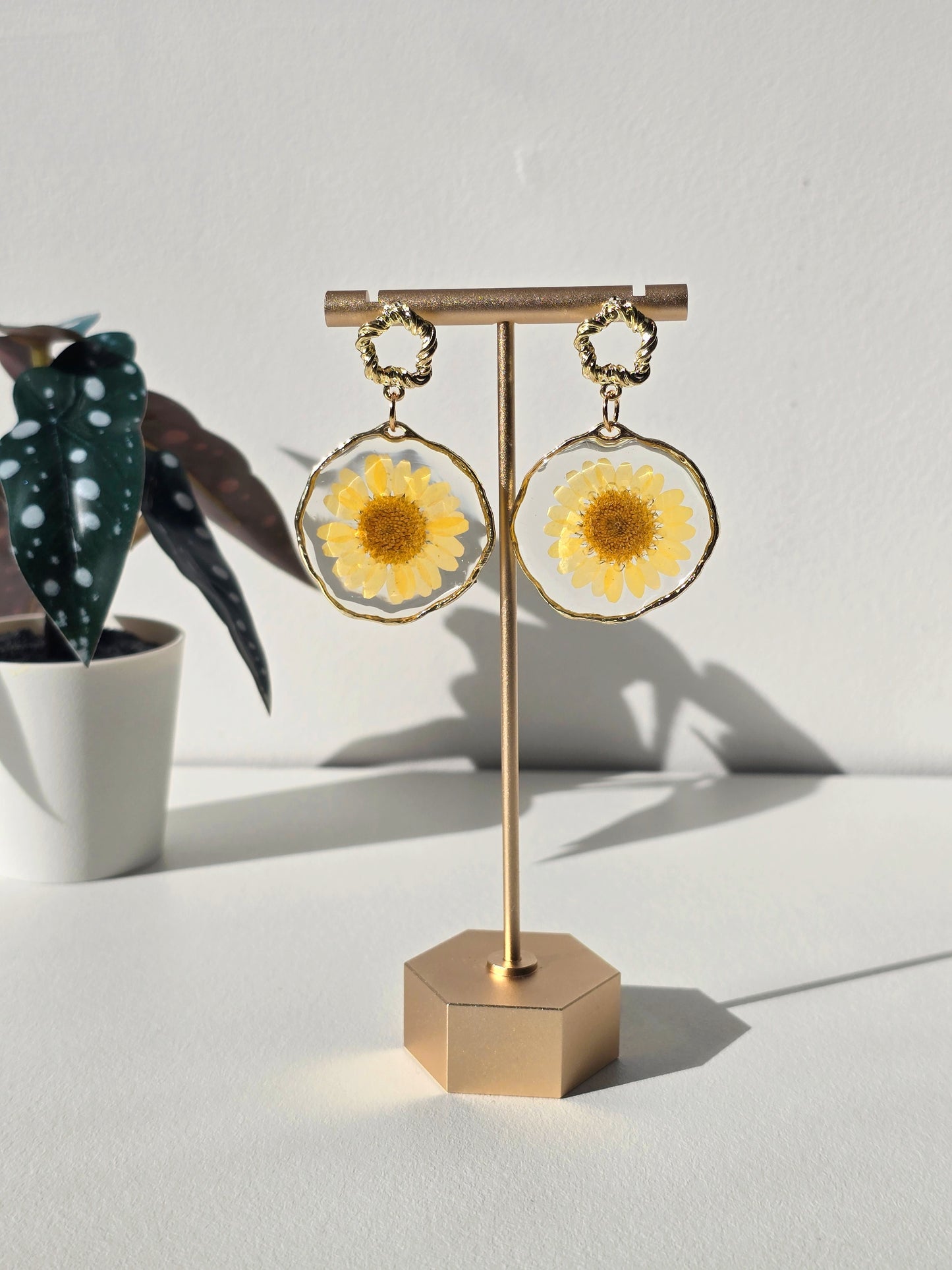 Yellow Daisy Resin Earrings - Gold- Handmade Real Flowers