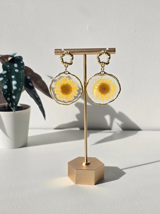 Yellow Daisy Resin Earrings - Gold- Handmade Real Flowers