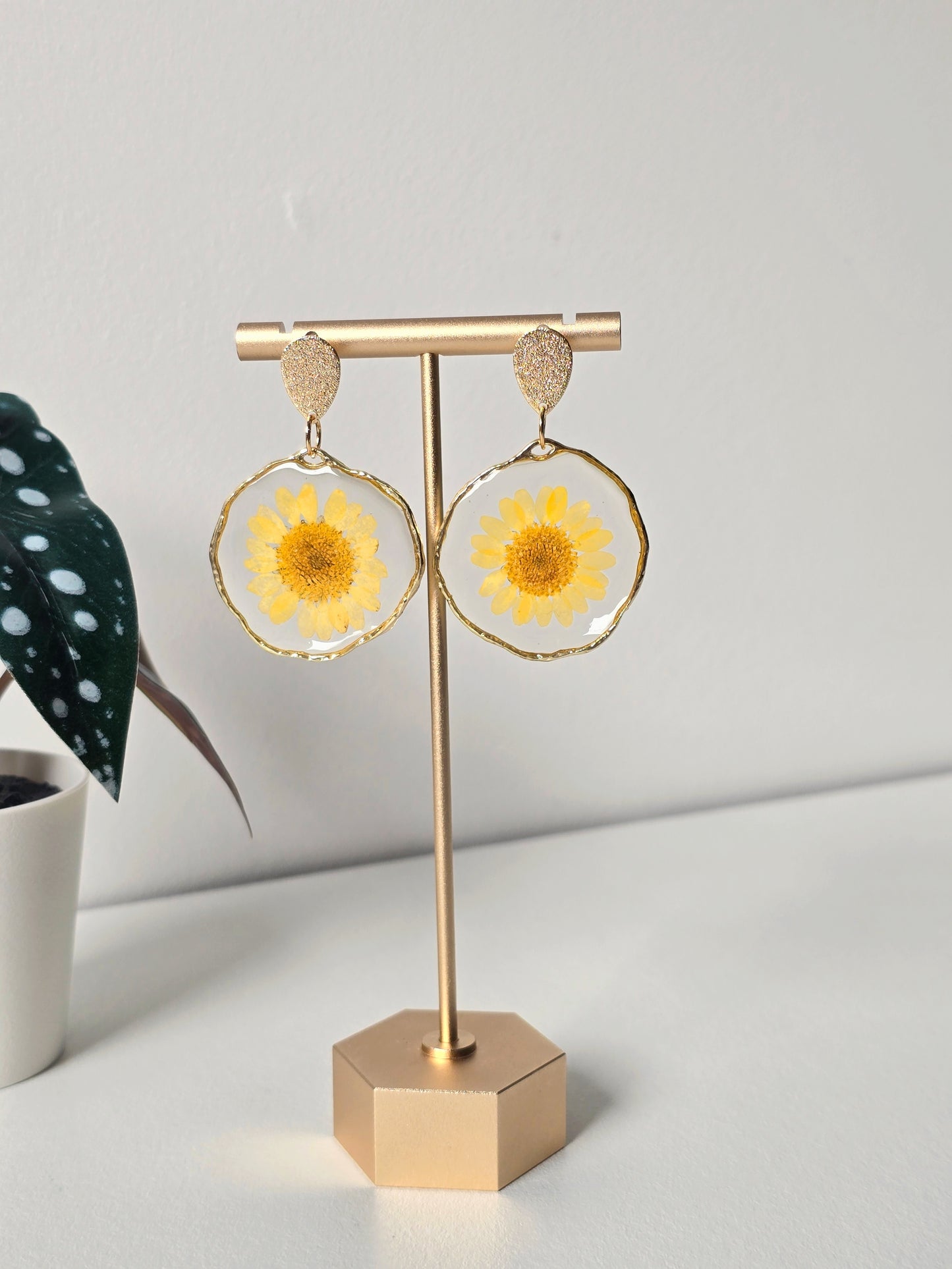 Yellow Daisy Resin Earrings - Gold- Handmade Real Flowers