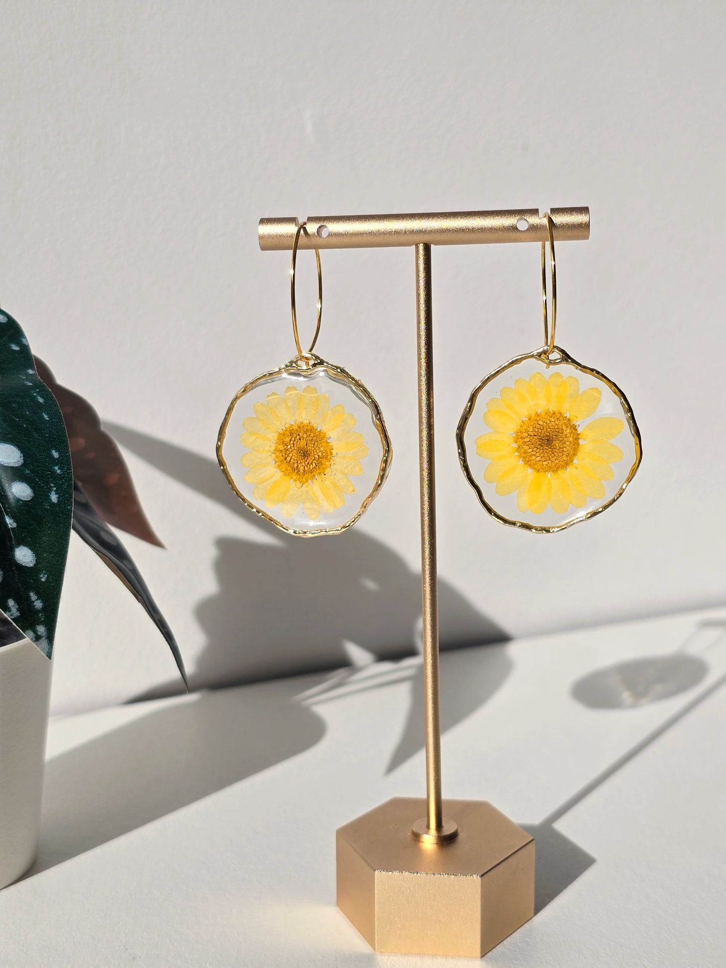 Yellow Daisy Resin Earrings - Gold- Handmade Real Flowers