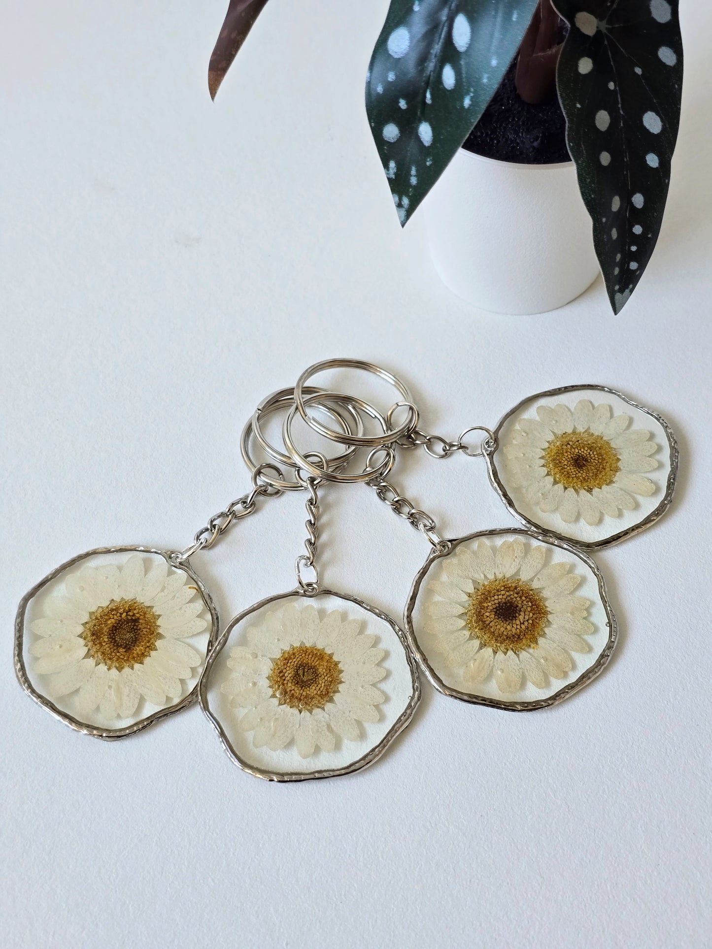 Keyrings With Real White Daisies- Gold and Silver - Resin Key Chain