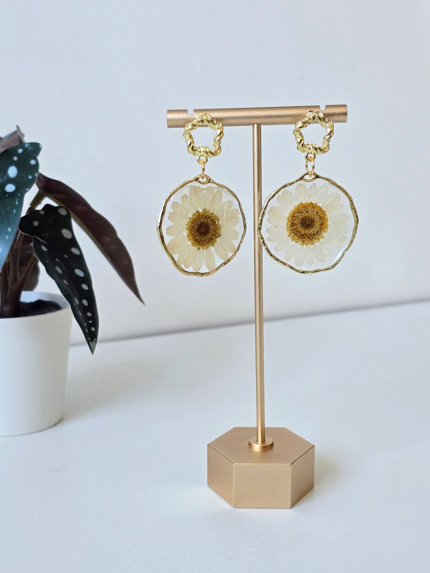 Real White Daisy Earrings - Gold - Handmade Resin Flower Jewellery