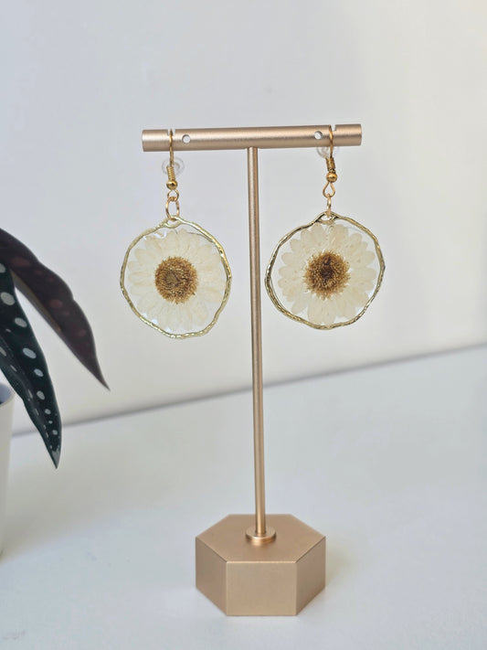 Real White Daisy Earrings - Gold - Handmade Resin Flower Jewellery